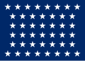 Военно-морской домкрат Соединенных Штатов (1891–1896) .svg