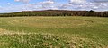 Een disc barrow op het Oakley Down Barrow Cemetery in Dorset