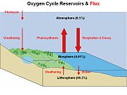 Schéma kyslíku cyklu