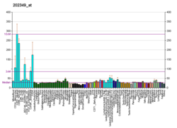 PBB GE TOR1A 202349 at fs.png