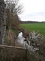 Le ruisseau du Palebœuf près de l'arboretum.