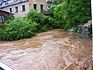 Pleiße Hochwasser 2013 in Langenhessen / Oberer Anger