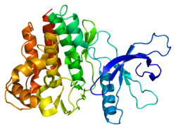 Protein JAK3 PDB 1yvj.png