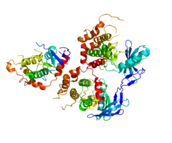 Белок MAP2K4 PDB 3ALN.png