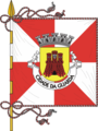 Vlag van Guarda