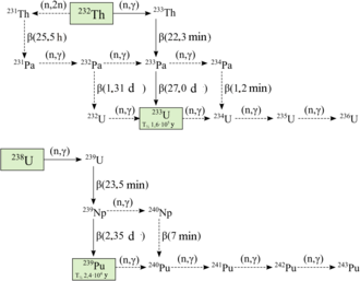 Диаграмма, иллюстрирующая взаимные превращения между различными изотопами урана, тория, протактиния и плутония.