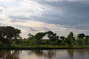 Le fleuve Río Grande, près d'Albuquerque.