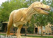 Egy T-Rex szobra a senckenbergi múzeumban