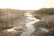 Een van de drie grotere geulen, die tot de slufter behoort die de duinenrij heeft doorbroken. Gezien vanaf 'de polder' naar de zee.