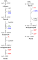 Vorschaubild der Version vom 22:31, 14. Mär. 2010