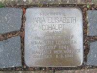 der Stolperstein für Maria Elisabeth Cohaupt