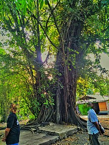 Sejarah Desa Pendawa