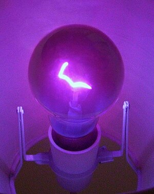 A 100 watt ultraviolet light bulb.