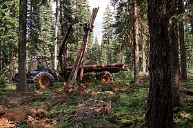 Bomen worden gekapt om het hout te gebruiken als natuurlijke hulpbron, maar een deel blijft staan, zodat het bos op een duurzame manier terug kan aangroeien. Dit proces heet selectieve kap.