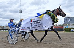 Veijo Heiskanen Olympiatravet 2014 002.jpg