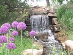 Waterfall and Flowers, OP Arboretum.jpg