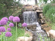 Waterfall and Flowers at the Overland Park Arboretum & Botanical Gardens, Overland Park, KS Waterfall and Flowers, OP Arboretum.jpg