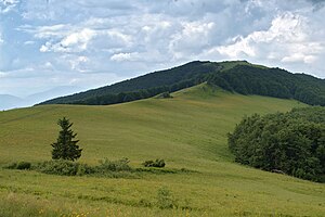 Дрогобицький Камінь