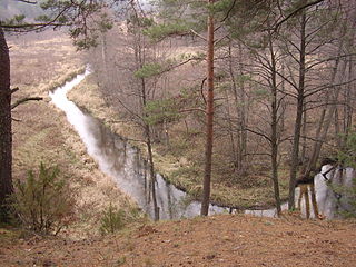 The river Gruda from Saudzykla hill