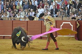 A revolera mozdulat, mely során a matador megpörgeti maga körül a vásznat, ami így egy mozgó kör hatását kelti[44][45]
