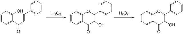 Bruttoreaktionsgleichung