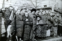 Häftling im KZ Auschwitz bi dr Befreiig