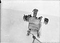 Australasiatische Antarktisexpedition und Mertz-Gletscher 1912