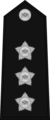 Captain Insignia.png