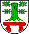 Tronco di quercia di verde, sradicato e scoronato (Köhn, Germania)