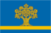 Dubovka bayrağı