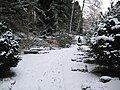 Friedhof Fluntern: Terrasse