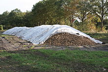 Temporary storage of potatoes in the Netherlands Gerooide aardappels.JPG