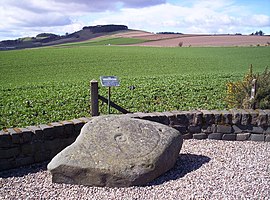 Der Girdlestane bei Letham, im Hintergrund der Dunnichen Hill