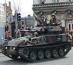 Irish Scorpion Tank.jpg