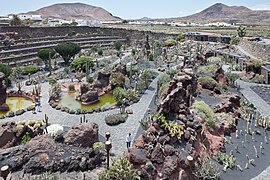 Jardín de Cactus de Guatiza (kaktuspuisto), Lanzarote