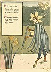 The flowers masquerade as people. Sir Jonquil begins the fun, 1899