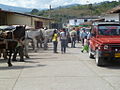 Le lundi, jour de grand marché, les chevaux sont irremplaçables.