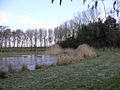 De Karnemelkputten, geliefd door de foeragerende reigers.