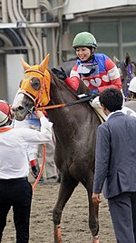 木之前葵（愛知県競馬組合所属）の騎手服。愛知県競馬組合では、中央競馬では認められていない「胴青・赤一本輪白ハート散、袖赤・白一本輪」を使用できる。