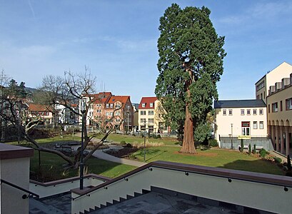 Schulgarten, vom Standbild des Reichsritters Hartmut XII. von Kronberg aus