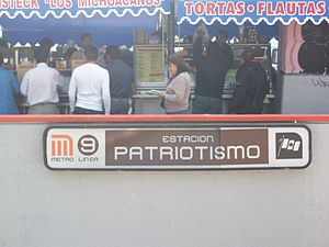 Metro Patriotismo 02.jpg