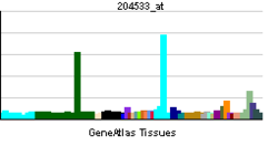 PBB GE CXCL10 204533 at tn.png