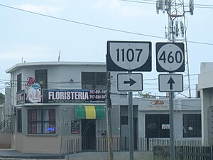 PR-1107 south at PR-460 intersection between Camaceyes and Caimital Bajo barrios