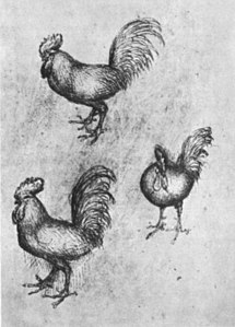 Drie hanen, inv. 2511r, pen en inkt op rood papier, 24,8 × 18,2