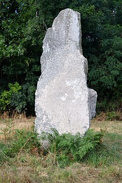 Image illustrative de l’article Menhir de la Vieille Métairie