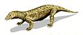 Procynosuchus Um réptil terapsídeo Comprimento: 45 cm