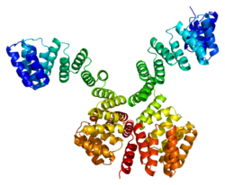 Protein OGT PDB 1w3b.png