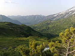 Road to Mutnovsky Glacier in Yelizovsky District