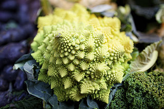 Romanesco_broccoli