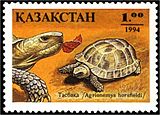 Среднеазиатская черепаха на казахстанской марке